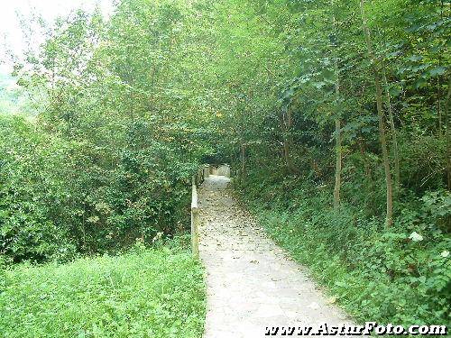 covadonga,casas de aldea rurales,casa rural ,casas de aldea,rurales,casa rural cangas de onis